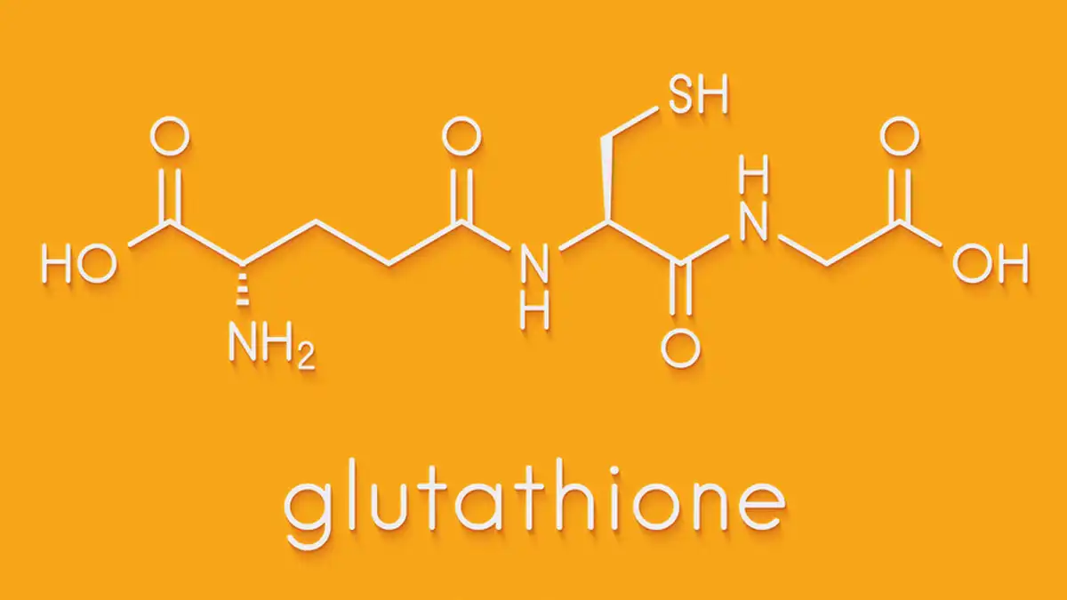 Can Vegan and Gluten-Free Diets Benefit from Pure L Glutathione Powder?